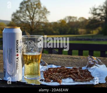 Aperta lattina di birra lager Stella Artois versata in un Coca Cola vetro con un pacchetto aperto di Twiglets Foto Stock