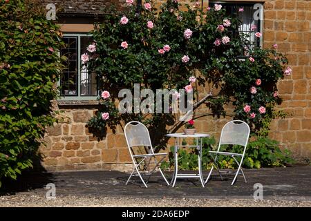 Arrampicata rosa sulla parete della casa con giardino posti a sedere in inglese Giardino, Inghilterra, Oxfordshire Foto Stock