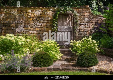 Porta di legno in pietra muro in inglese giardino, Inghilterra, Europa Foto Stock