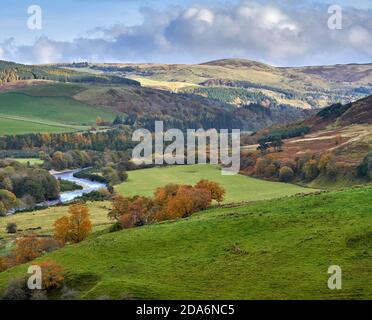 Guardando lungo la Yarrow Valley in una splendida giornata autunnale ai confini scozzesi. Foto Stock