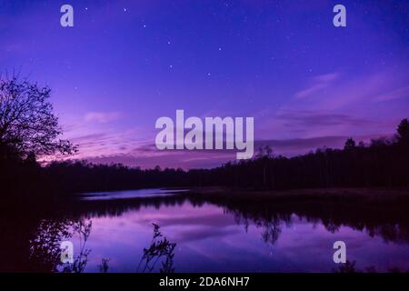 Lago di Bog in germania alla rottura notte con grande orso sopra Foto Stock