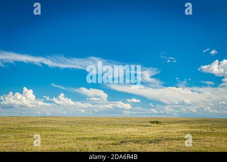 Le grandi pianure Foto Stock