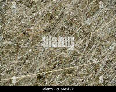 reti da pesca bagnate a secco primo piano, sfondo astratto Foto Stock