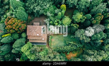Drone vista aerea di casa tetto tegole rosso circondato da alberi Foto Stock