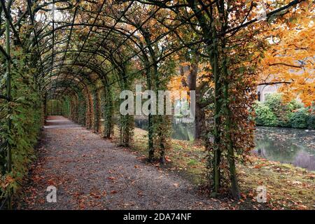 Arcen, Paesi Bassi, 24 ottobre 2020: Il bel tunnel alberato nel giardino del Castello Arcen Foto Stock