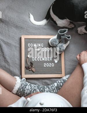 Donna incinta seduta con un prossimo dicembre 2020 Baby annuncio segno e  cucciolo in backgroun. Presto in arrivo il concetto di Natale. Gravidanza  pancia Foto stock - Alamy