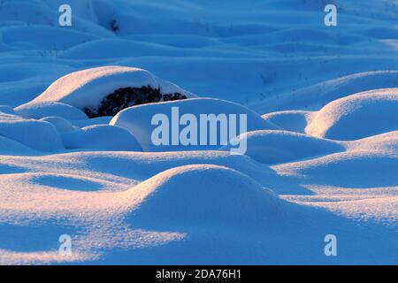 Dettaglio in primo piano della neve fresca in polvere e dei suoi motivi con piccole colline. I fiocchi di neve brillano nella luce. Ilulissat, Baia di Disko, Groenlandia. Foto Stock