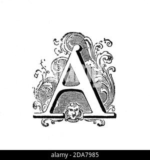 Una lettera decorata in modo originale utilizzata come tappo iniziale o a goccia all'inizio di una parola, di un capitolo o di un paragrafo più grande del resto del testo. La parola deriva dal latino inizialis, che significa stare all'inizio. Un iniziale è spesso diverse linee in altezza e in libri o manoscritti più vecchi, a volte ornately decorati. Foto Stock