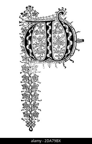 Una lettera decorata in modo originale utilizzata come tappo iniziale o a goccia all'inizio di una parola, di un capitolo o di un paragrafo più grande del resto del testo. La parola deriva dal latino inizialis, che significa stare all'inizio. Un iniziale è spesso diverse linee in altezza e in libri o manoscritti più vecchi, a volte ornately decorati. Foto Stock