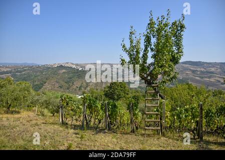 Vista panoramica di San Bartolomeo a Galdo, borgo medievale della Campania, Italia. Foto Stock