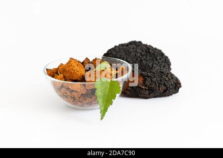 Funghi Chaga, pezzi di chaga tritati in una ciotola e foglie di betulla verde isolate su sfondo bianco. Inonotus oblio. Foto Stock