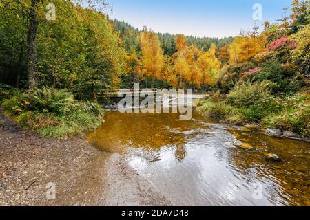 Riserva naturale paesaggio con ruscello nelle alte Fens delle Ardenne, Belgio. Foto Stock