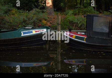 Barche a canale ormeggiate lungo il bellissimo canale di Basingstoke vicino a Mytchett In Surrey Foto Stock