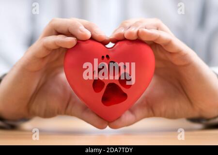 Cuore rosso con la stampa della zampa del cane nelle mani Foto Stock