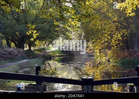 Un cancello di serratura riflesso nelle acque ferme su un Bella giornata d'autunno lungo il delizioso canale di Basingstoke vicino a Pirbright In Surrey Foto Stock