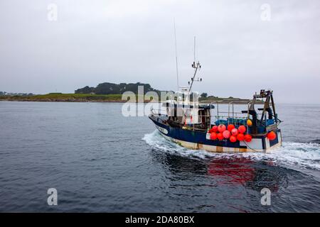 Pesca barca - pesca di aragosta e granchio vicino all'Ile de Batz, Bretagna, Francia Foto Stock