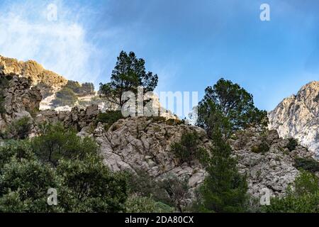 Foto del burrone di Biniaraix, nella città di Sóller, uno dei percorsi escursionistici più belli e spettacolari di Maiorca, nelle Isole Baleari, Foto Stock