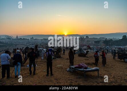 silhouette di cammello contro la luce dorata dell'alba al festival del cammello di pushkar. Foto Stock