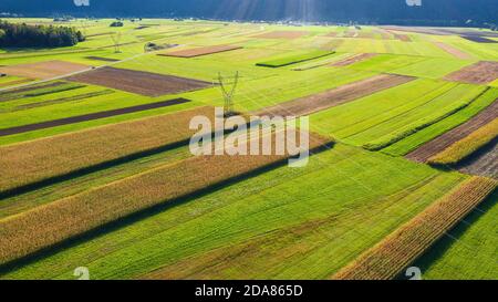 Vista aerea dei campi agricoli dal cielo. Foto Stock