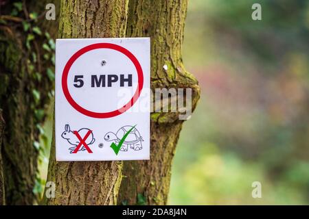 Segnale del limite di velocità a 5 KM/H su una strada privata Nel Regno Unito Foto Stock