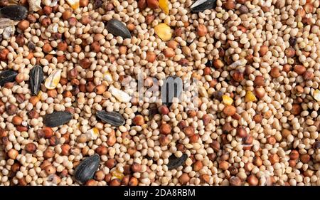 Vista dall'alto di pile di semi di uccelli selvatici misti o di grano con girasole a olio nero colorato, mais fessurato, miglio, milo e altri mangimi. Foto Stock