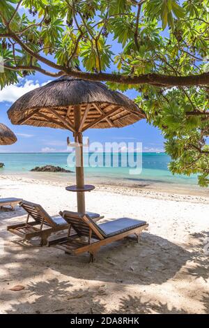 Bella spiaggia dell'isola di Mauritius,con vista mare torquise ,palme e ombrello. Foto Stock