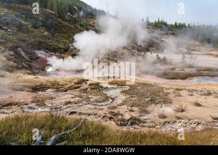 Blood Geyser che bolle e fuma negli Artists Paintpots del Parco Nazionale di Yellowstone nel Wyoming, Stati Uniti. Foto Stock