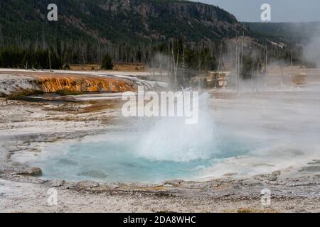 Il geyser Spouter eruttava acqua calda e vapore nel bacino di sabbia nera del parco nazionale di Yellowstone nel Wyoming, Stati Uniti. Foto Stock