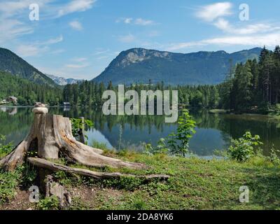 Riserva naturale del Ödensee nel Salzkammergut Foto Stock