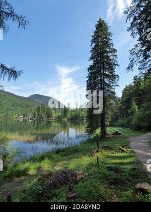 Riserva naturale del Ödensee nel Salzkammergut Foto Stock