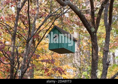 Coloratissima casa di uccelli in legno verde/teal fatta a mano appesa al ramo dell'albero durante la stagione autunnale. Foto Stock