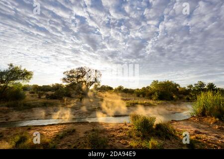 Vista eterea di un cielo sgombro e vapore che si innalza da un foro termale all'alba nell'Outback, Cacoory Bore, Queensland, QLD, Australia Foto Stock