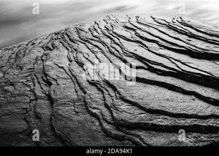 Astratti motivi rocciosi in torrente (B&W) - Pisgah National Forest, vicino a Brevard, Carolina del Nord, Stati Uniti Foto Stock