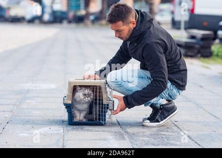 Uomo che cammina fuori con bello gatto grigio domestico. Cat ama camminare all'aperto Foto Stock