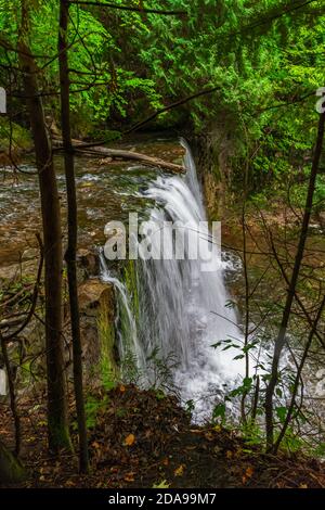 Hoggs Falls Conservation Area Flesherton Owen Sound Ontario Canada in estate Foto Stock