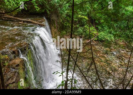 Hoggs Falls Conservation Area Flesherton Owen Sound Ontario Canada in estate Foto Stock