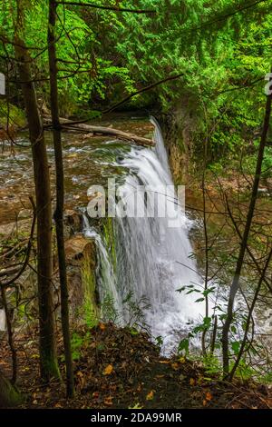 Hoggs Falls Conservation Area Flesherton Owen Sound Ontario Canada in estate Foto Stock