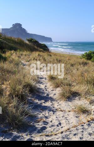 Un percorso di sabbia che conduce al mare attraverso delicate erbe di dune. Fotografato a Pukehina Beach, Nuova Zelanda Foto Stock