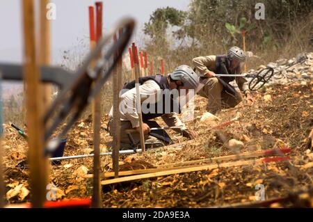 Pneumatico, Libano. 15 luglio 2010. Un team del Mines Advisory Group (MAG) è stato visto per eliminare le munizioni a grappolo non sfruttate nelle terre agricole del sud del Libano. Decenni di guerra hanno lasciato il Libano meridionale costeggiato da ordigni non sfruttati, bombe a grappolo e mine antiuomo. Il gruppo consultivo delle ONG per le miniere è attivamente coinvolto in progetti di liquidazione e di assistenza che aiutano a proteggere la popolazione locale che si affida fortemente all'agricoltura come fonte primaria di reddito. Credit: John Wreford/SOPA Images/ZUMA Wire/Alamy Live News Foto Stock