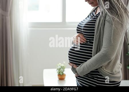 Immagine ravvicinata di una donna incinta con mani curate che toccano il ventre in piedi in salotto Foto Stock