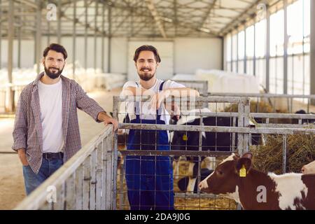 Due lavoratori agricoli in piedi vicino a una gabbia con vitelli in un fienile su una fattoria di bestiame in campagna Foto Stock