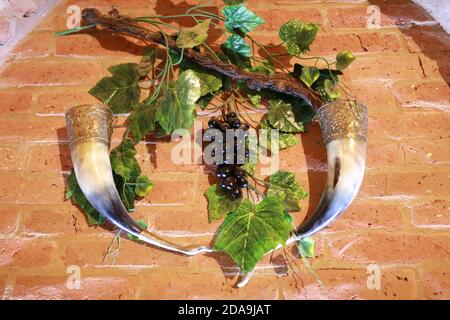 Due corna di vino su muro di mattoni, Georgia Foto Stock