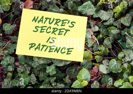 Il segreto della natura è la citazione motivazionale di pazienza scritta su carta su sfondo verde della foglia. Concetto di pazienza, pace interiore e successo. Foto Stock