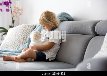 Carino piccolo biondo bambino, bambino piccolo, giocando con cucciolo bianco cane maltese a casa Foto Stock