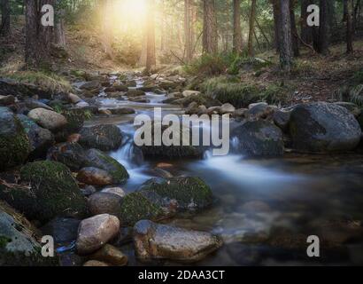 Splendido tramonto, con la luce del sole che entra nella pineta, il ruscello e le cascate di Valsain a Segovia Foto Stock