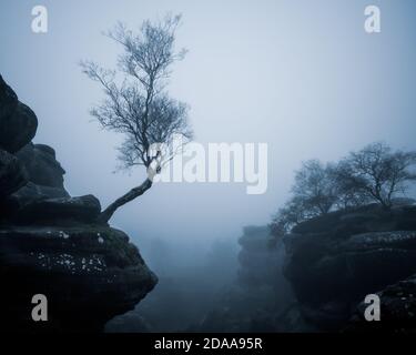 Misty Brimham Rocks, Nidderdale, North Yorkshire Foto Stock