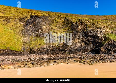 Formazioni rocciose piegate nelle scogliere di Crackington Haven, Cornovaglia, Regno Unito Foto Stock