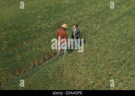 Banchiere e contadino che negoziano prestiti bancari per l'agricoltura in campo d'orzo, fotografia aerea dal drone pov Foto Stock