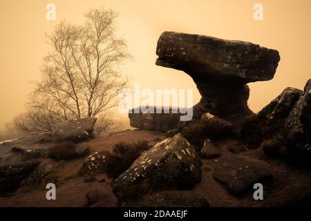 Il Druid Scrivania a Brimham Rocks, North Yorkshire Foto Stock