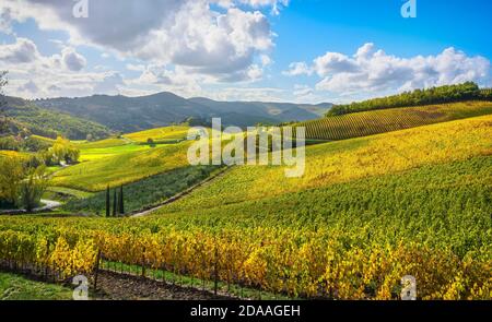 Radda in Chianti vigna e panorama in autunno. Toscana, Italia Europa. Foto Stock